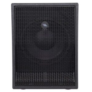 Proel S10A 10-inch Active PA Subwoofer